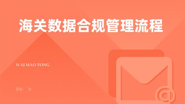 海关数据合规管理流程