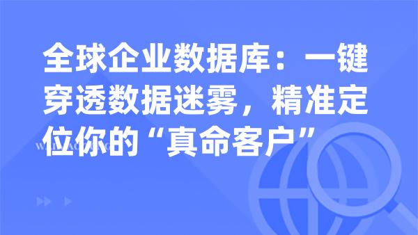 全球企业数据库：一键穿透数据迷雾，精准定位你的“真命客户”