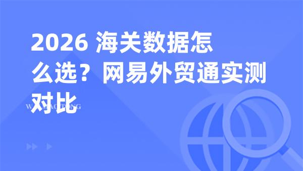 2026 海关数据怎么选？网易外贸通实测对比
